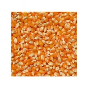 MAIZ ESPECIAL PALOMAS O PALOMERO