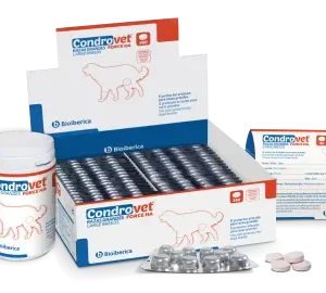 condrovet-force ha-Grandes